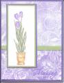 2006/02/28/lavenderlacefloral_by_ckarasz.JPG