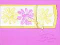 2005/07/19/petal_prints_pink_and_yellow_daisies_mrr.jpg