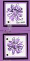 2006/01/13/3X3GiftCards002Orchid_by_WhirlyGirls.jpg