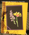 2006/08/21/TLC78_French_petals_by_LodiChick.png