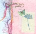 2008/01/18/Pink_Parchment_Butterfly_by_ruby-heartedmom.jpg