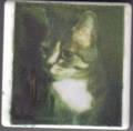 2004/12/11/2489Vellum_Tile_of_our_Cat_Missy.jpg