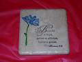 2005/12/07/Scripture_coasters_by_Amy_Collins.JPG