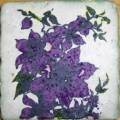 2005/12/13/clematis_tile_by_lacyquilter.jpg