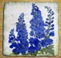 2005/12/13/delphinium_tile_by_lacyquilter.jpg