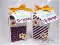 2014/07/27/2014_Convention_Treat_Bags_by_craftyideas22.jpg