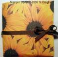 2006/09/24/Sunflower_Card_Holder_Outside_small_by_bensarmom.jpg