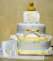 2010/03/16/cake_and_card_by_Kaleen.jpg