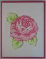 2006/06/03/Rose_note_card_by_Suzyq01.jpg