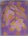 2004/10/22/7851perfect_plum_leaves.jpg