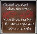 2011/01/05/Calming_the_Storm_-_brown_by_NettiesExpressions.jpg