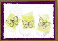2004/06/22/6394butterly_shapes.jpg
