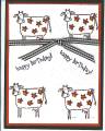 2005/07/11/Happy_Birthday_cows.jpg