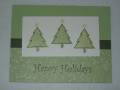 2005/12/07/Three_Christmas_trees_by_Amy_Collins.JPG