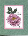 2008/09/13/Chinese_Peony_by_Stampin_Granny.jpg