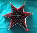 2008/12/16/star_opened_up_by_fantail.jpg