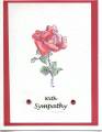 2005/12/29/rose_sympathy_by_Indy_Patti.jpg