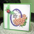 2010/05/04/0368Card_May10_by_quillister.jpg