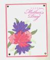 2005/05/01/Case_d_Mothers_Day_Card.jpg