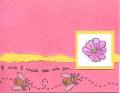2005/05/16/In_Full_Bloom_-_Pink_Bee_With_You_.jpg