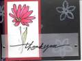 2005/09/03/In_Full_Bloom--_black_and_red_thank_you_embossed_for_stampers_club_by_sarahm25.jpg