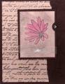 2006/03/27/Bloomin_Blush_Blossom_by_crazyboutstamping.JPG