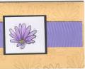 2006/04/27/lavender_flower_by_luvs2stamp2.jpg