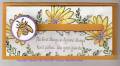 2007/05/18/Spinning_Bee_3X6_narrow_card_by_luvsstampinup.JPG