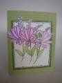 2008/06/22/Spring_flowers_by_sandy_stamps.jpg