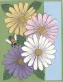 2009/03/23/Year_of_Flowers_-_Daisy_01_by_Bizet.JPG