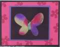 2004/10/15/7708Bold_Butterfly_JC.jpeg