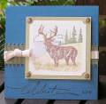2007/08/18/Noble_Deer_with_Markers_Pastels_by_AudreyAnn.jpg