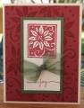 2006/10/07/Cranberry_Poinsettia_by_3angelblessings.jpg