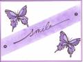 2005/06/22/purple_butterfly.jpg