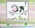 2006/02/20/spring_cow_by_carrieflanagan.jpg