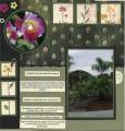 2006/02/05/Left_page_garden_by_Laura_Boetto.jpg