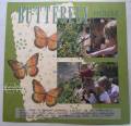 2007/05/17/butterfly_by_cmstamps.jpg