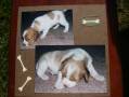 2007/07/02/HM_and_puppy_005_by_pam5.jpg