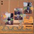 A_Bloom_by