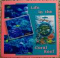 2009/10/11/Aquarium_Life_in_the_Coral_Reef_100_8331_by_mollymoo951.jpg