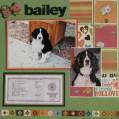 2010/04/18/Bailey-front-pg_by_wendella247.jpg