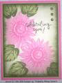 2006/04/20/CC58_pink_sunflowers_by_lacyquilter.jpg