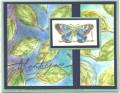 2004/12/15/4782pastel-butterfly-juliet-dec-04.jpg