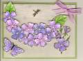 2006/05/27/Natural_Beauty_Lavender_by_Shadow.jpg