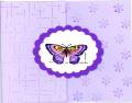 ButterflyB