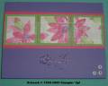 2005/04/20/Paint_Prints_OSW_8.JPG