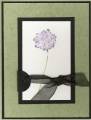 2005/11/01/moss_and_black_mpprints_by_stampin8mom.jpg