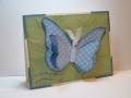 2009/07/27/Delicate_Dots_Butterfly_by_gigs.jpg