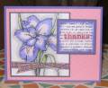 2008/05/06/Lilac_and_Pink_Iris_by_Clownmom.jpg