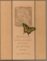 2005/02/20/6036All_I_Have_Seen_Canvas_Butterfly_Browns_pmg.jpg